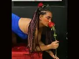 CarriePink lj toy jasmin